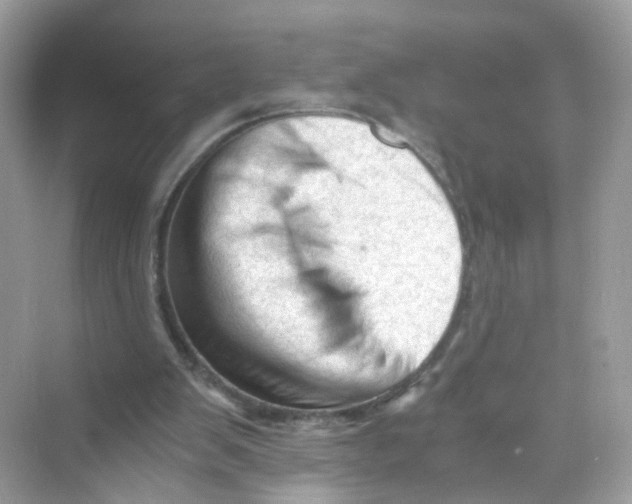 X0000069810103200606091845