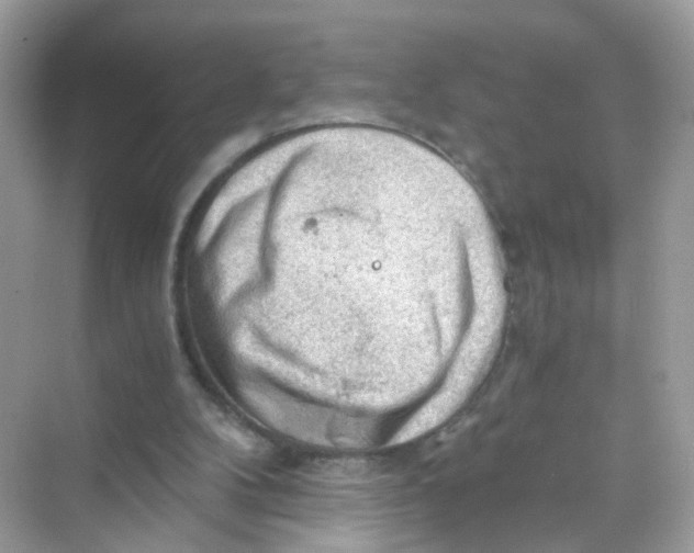 X0000069810104200606091845