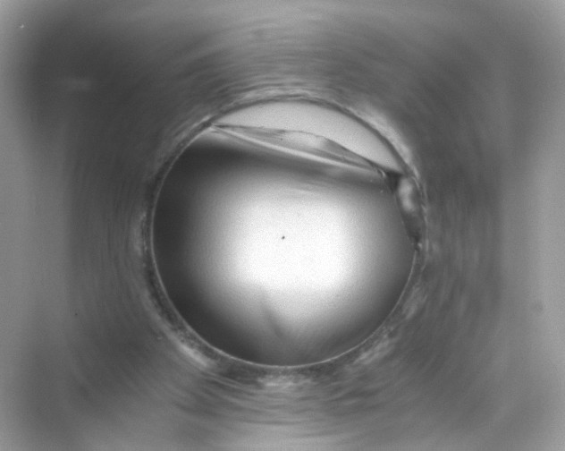 X0000069810105200606091845