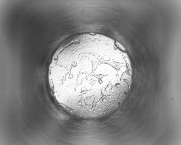 X0000069810107200606091845