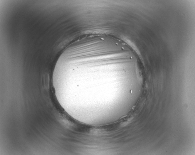 X0000069810109200606091845