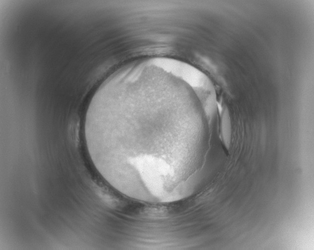 X0000069810110200606091845