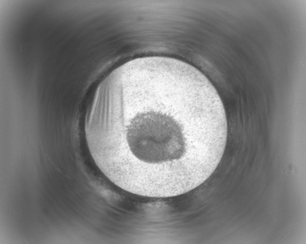 X0000069810112200606091845