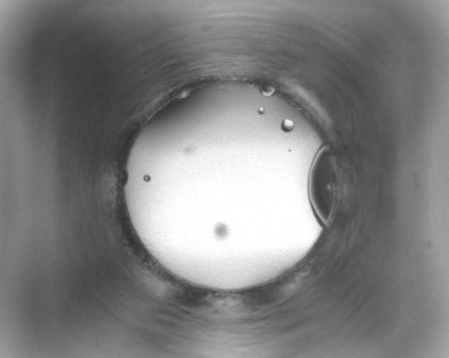 X0000069810113200606091845