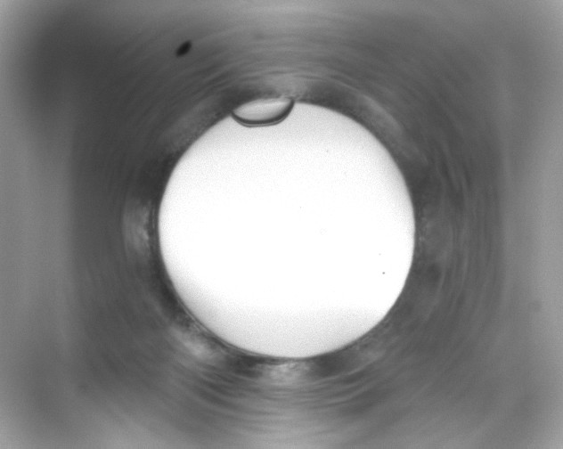 X0000069810122200606091845