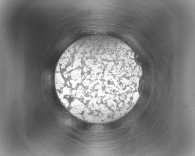 X0000069810123200606091845