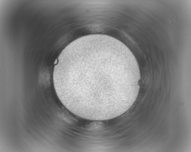 X0000069810124200606091845