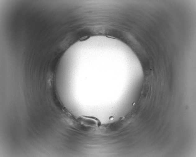 X0000069810125200606091845