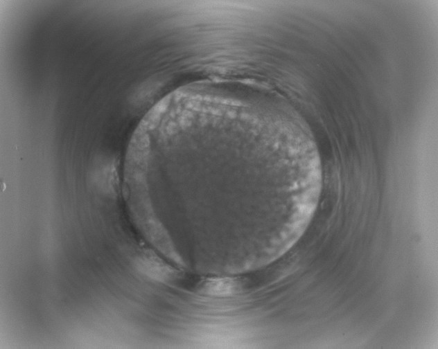 X0000069810127200606091845