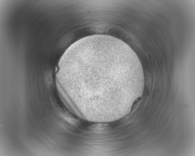 X0000069810128200606091845