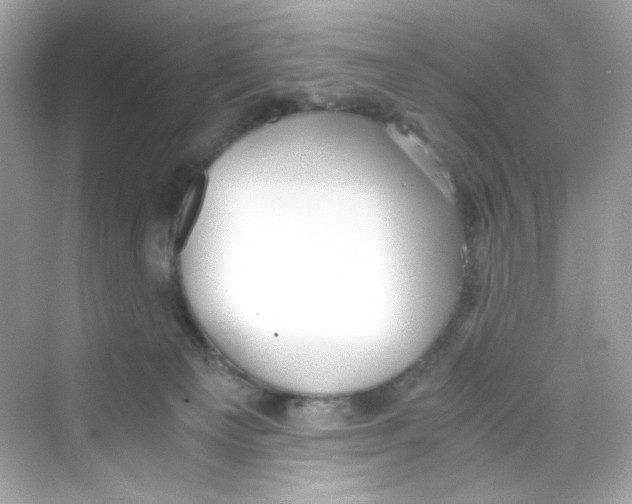 X0000069810129200606091845