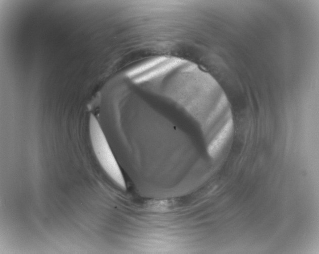 X0000069810131200606091845