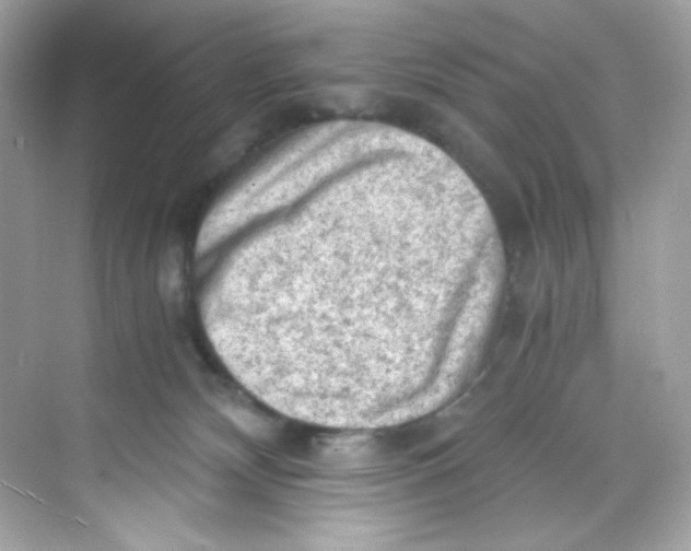 X0000069810132200606091845