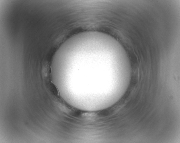 X0000069810133200606091845