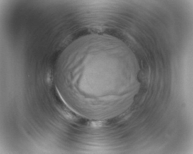 X0000069810134200606091845