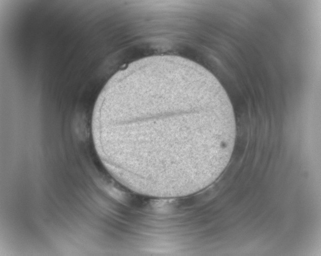 X0000069810136200606091845