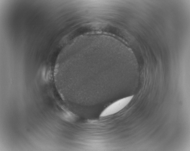 X0000069810137200606091844