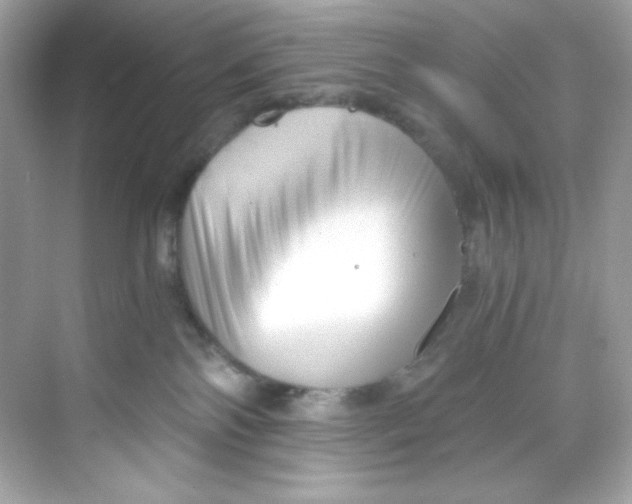 X0000069810138200606091844