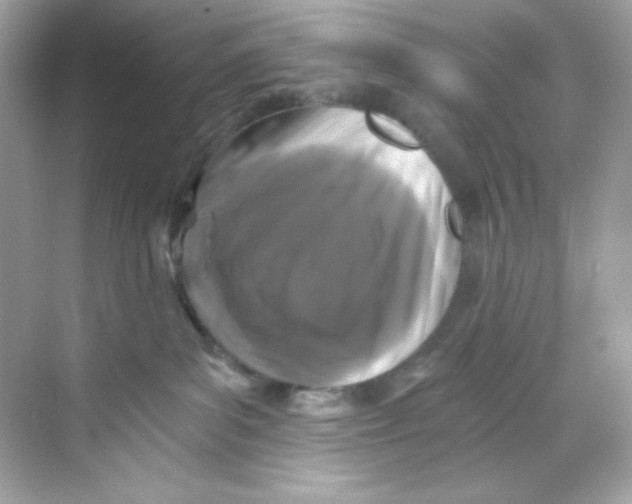 X0000069810139200606091844