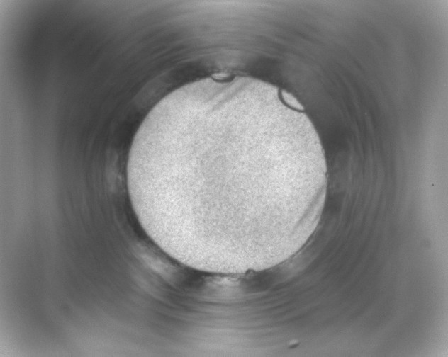 X0000069810140200606091844