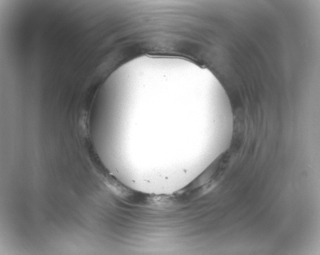 X0000069810141200606091844