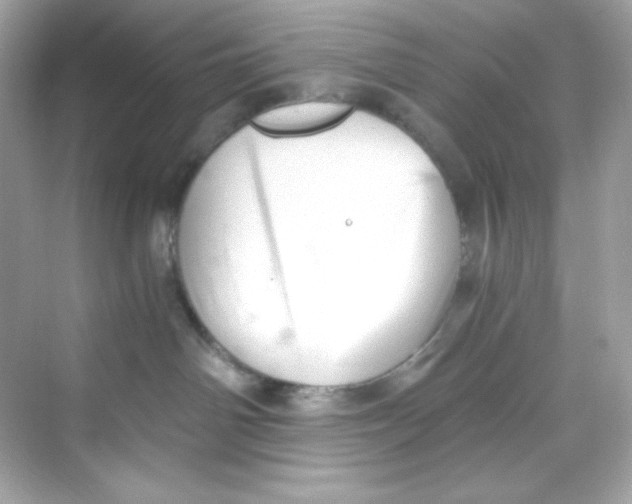 X0000069810142200606091844