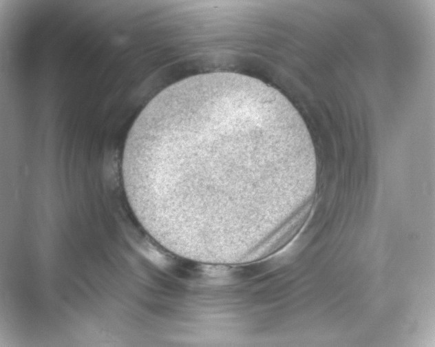 X0000069810144200606091844