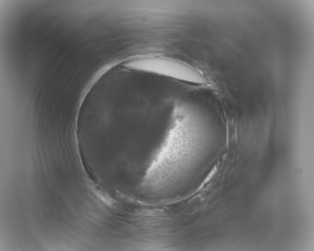 X0000069810147200606091844