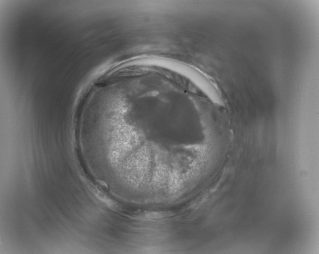 X0000069810149200606091844