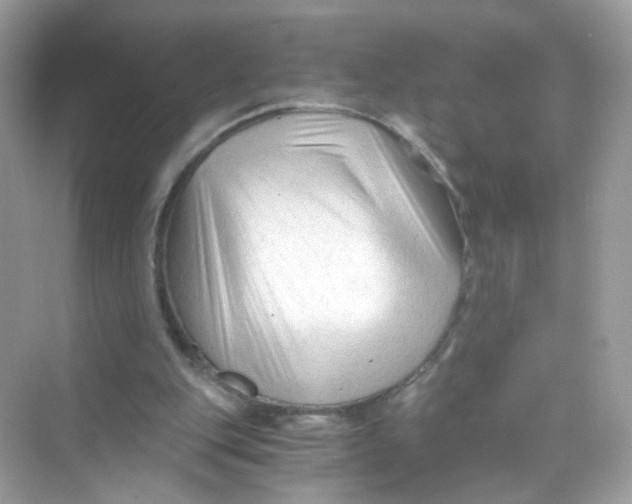 X0000069810151200606091844