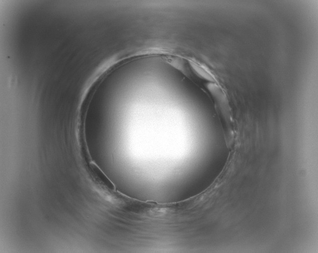 X0000069810152200606091844