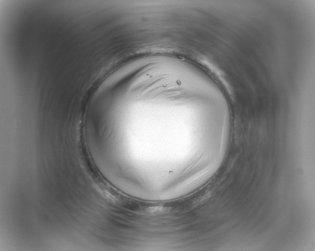 X0000069810153200606091844