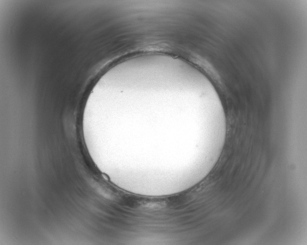 X0000069810155200606091844