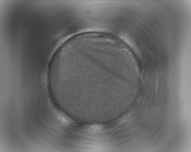 X0000069810156200606091844