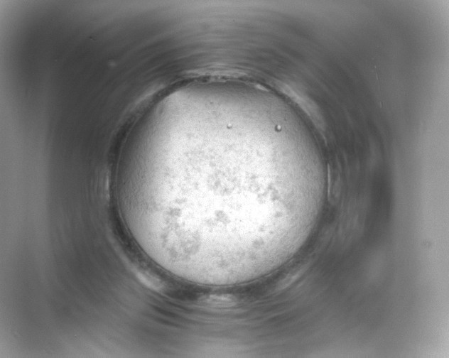 X0000069810157200606091844