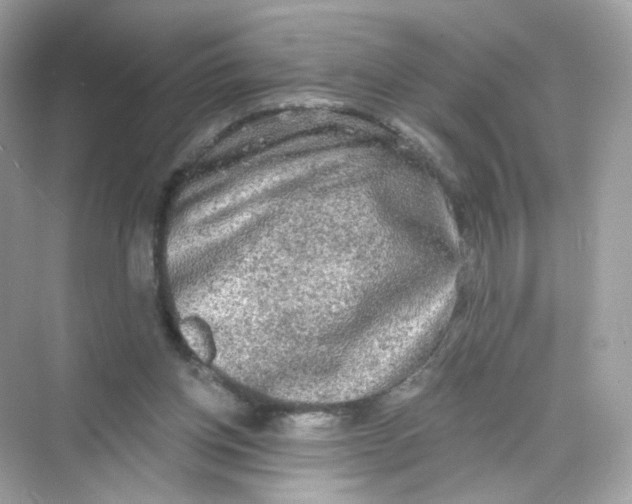 X0000069810158200606091844