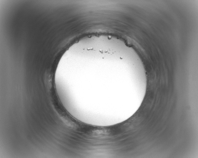 X0000069810160200606091844