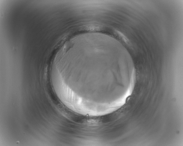 X0000069810163200606091844