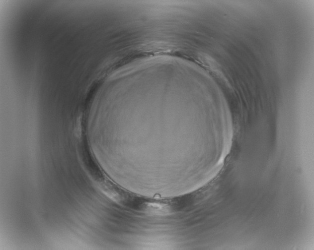 X0000069810167200606091844