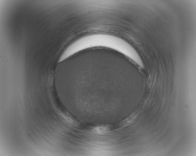 X0000069810168200606091844