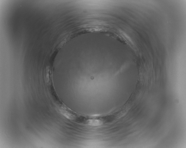 X0000069810169200606091844