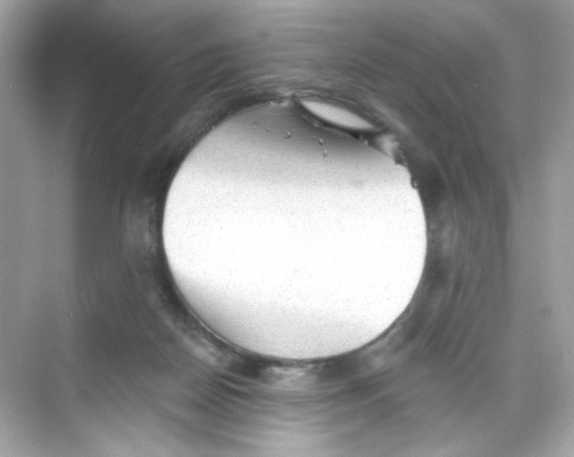 X0000069810170200606091844