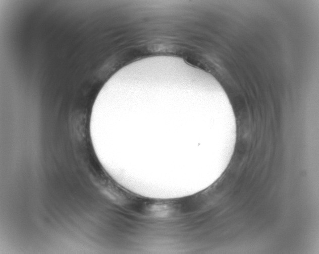 X0000069810171200606091844