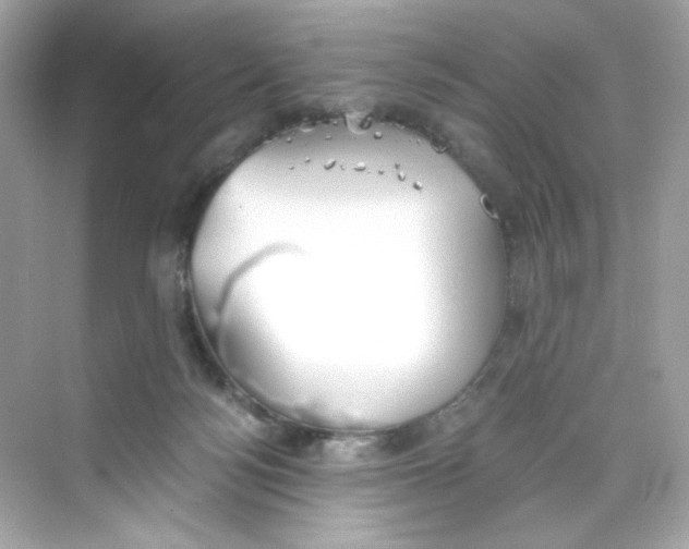 X0000069810172200606091844