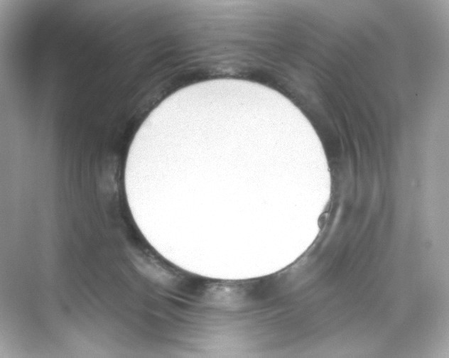 X0000069810174200606091844