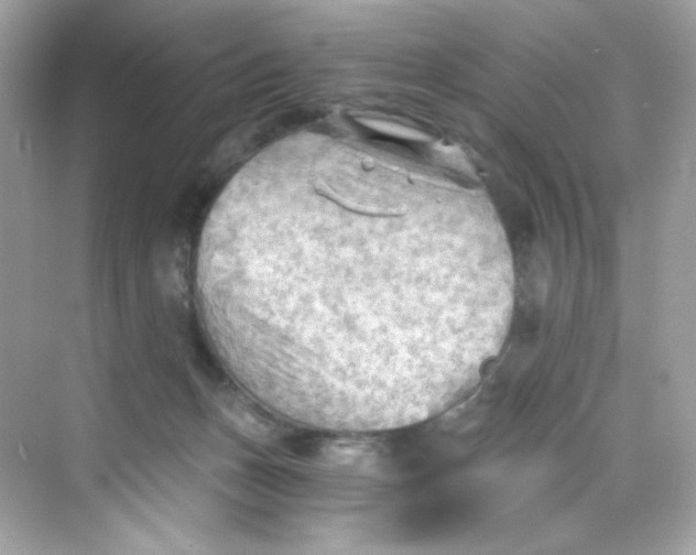 X0000069810175200606091844