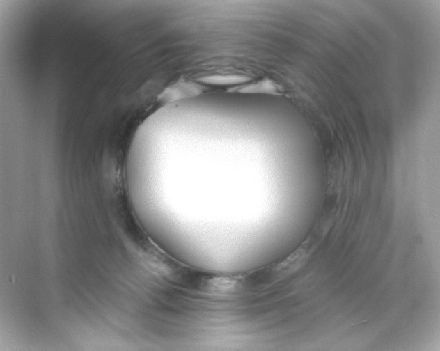 X0000069810176200606091844