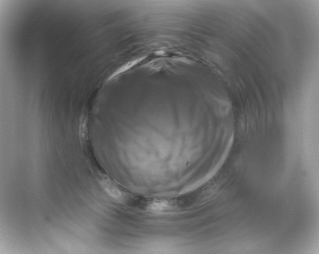 X0000069810177200606091844