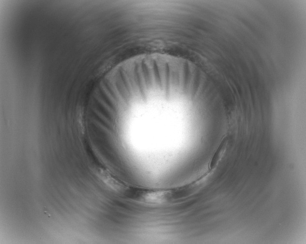 X0000069810178200606091844