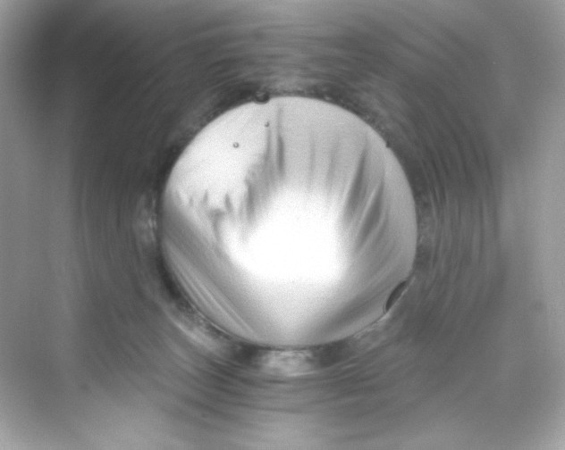 X0000069810179200606091844